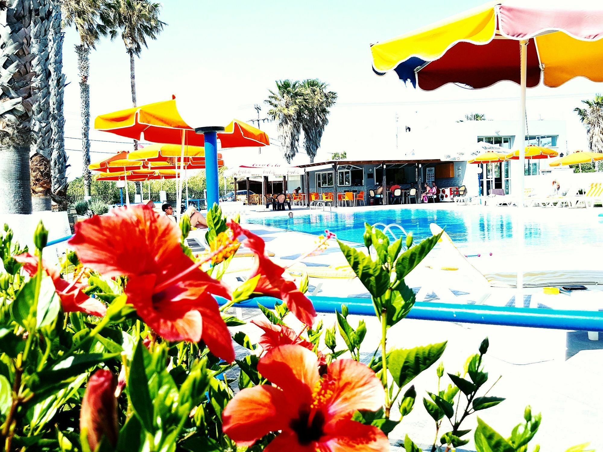 Athina Apartments And Bungalows Kos Town Luaran gambar